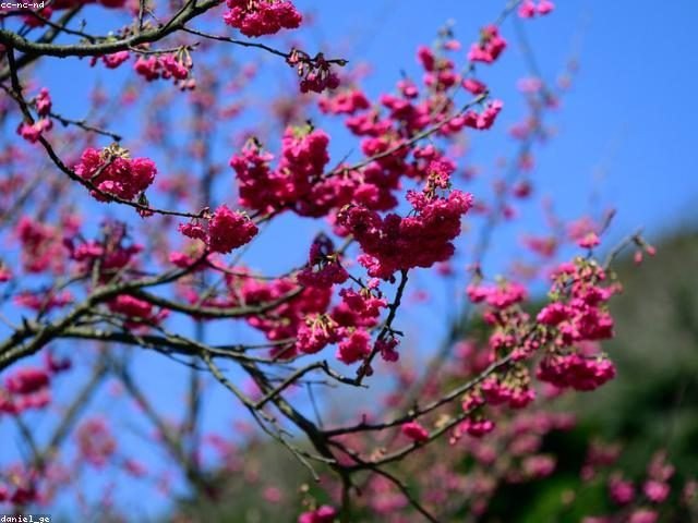 牠在生氣