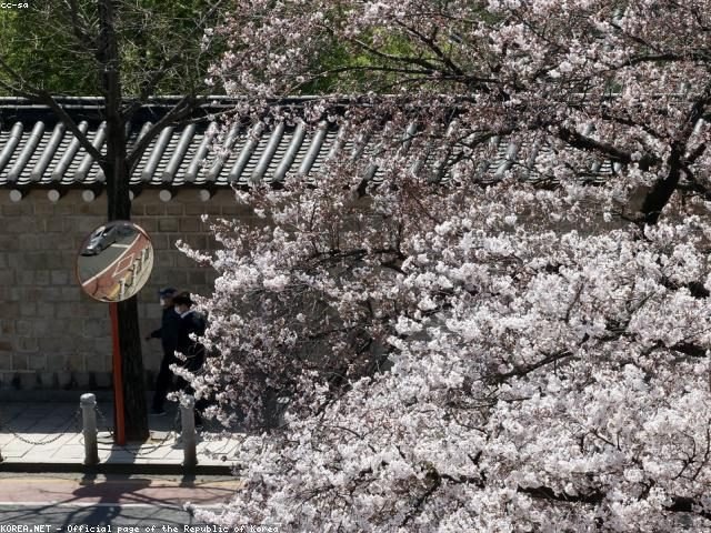 這天天氣超好