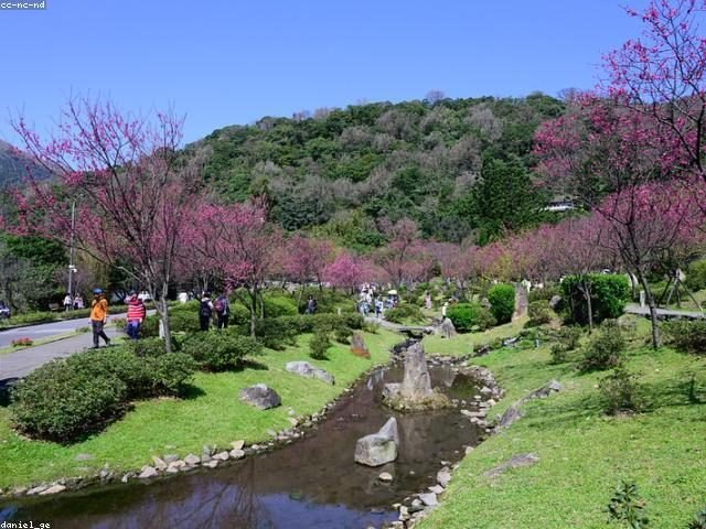 這天天氣超好