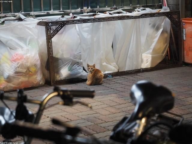 這天天氣超好