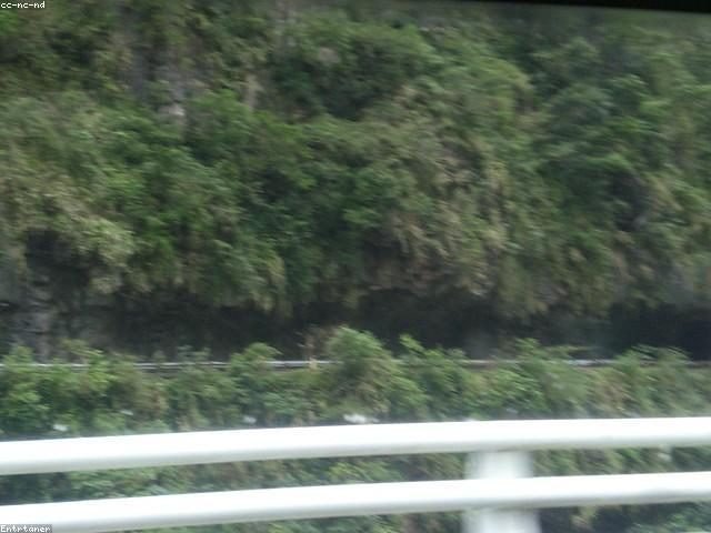 牠在生氣