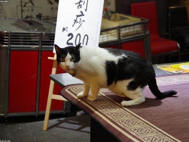 順便自拍一張